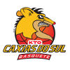 休会大青年U19logo