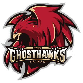 台南台钢猎鹰logo