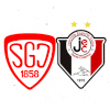 乔维尔女篮U23logo