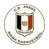 兰姆U23logo