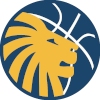 悉尼大学女篮logo