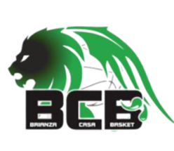 布里安扎卡萨logo