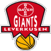 勒沃库森logo