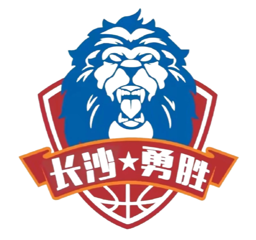 长沙勇胜logo