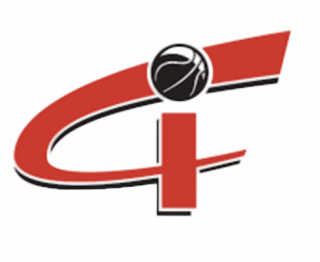 德萨拉特logo