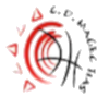魔术师提亚斯女篮logo