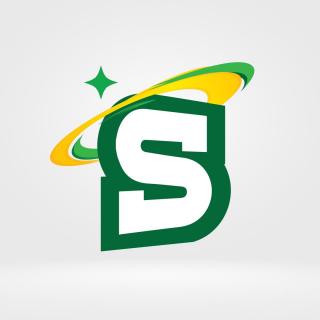 圣波托西女篮logo
