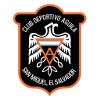 圣米格尔鹰logo
