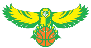 德鲁日基夫卡女篮logo