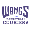 WAN传讯者logo