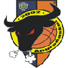 安格拉斯基特logo