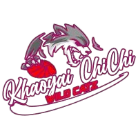 考艾奇奇野猫logo