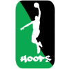 斯维尔弗堡logo