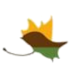 圣卡洛斯门多萨logo