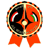 大马士革联合女篮logo