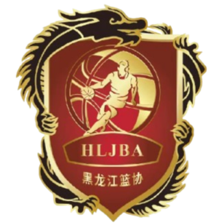 黑龙江群众队logo