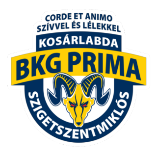 BKG普里马阿卡德米logo