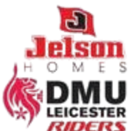 莱切斯特骑士logo