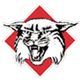 戴维森学院logo
