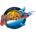 四川丰谷酒业logo