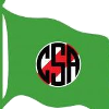 美国体育logo