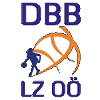 DBB林兹威尔斯女篮logo
