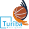 图里巴logo