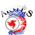 爱斯特斯LSU女篮logo