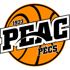 佩克斯2010女篮logo