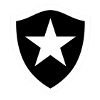 博塔福戈U19logo