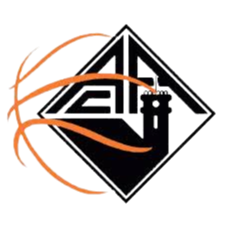 阿卡德米卡logo