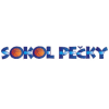 索科尔佩奇基女篮logo
