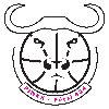 佩斯424女篮logo