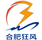合肥狂风logo