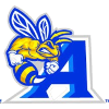 阿伦大学女篮logo