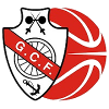 菲格伦斯logo