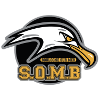 布罗尼logo