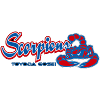 丰田合成logo
