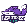 莱斯福克斯女篮logo