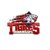 马德罗大学logo