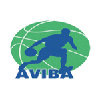 维代伦logo