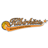 基伯克斯提斯女篮logo