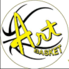 Zkk艺术女篮logo