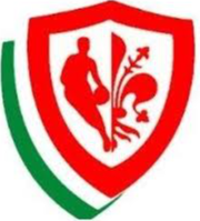 皮诺佛罗伦萨 U19logo