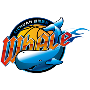 四川金强蓝鲸后备队logo