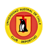智利南方大學U23logo
