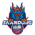 山东高速后备队logo