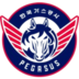 大邱飞马后备logo