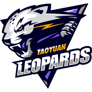 桃园云豹logo