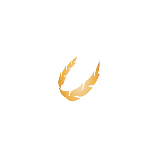 普夫格夫克希特大学女篮logo